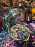 The Hippo Scoop